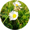 A Rah profile picture